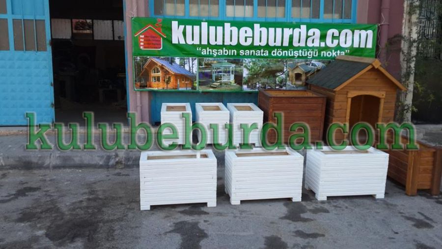 Büyüt