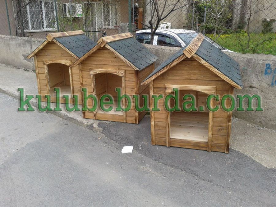 Büyüt